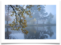 Dunham Massey - Bill Rigby